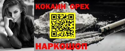 спиды Дубна