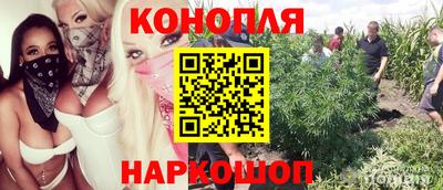 скорость Донской
