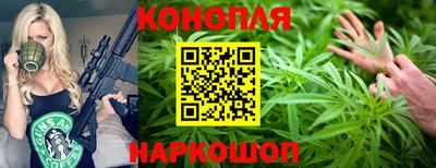 гашик Ярославль