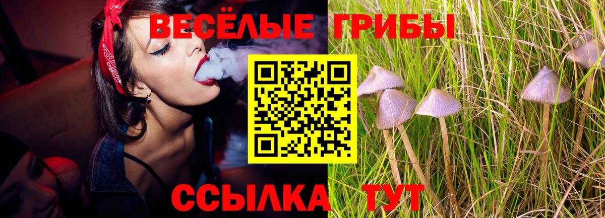 Кирово-Чепецк  сколько стоит  Вход с VPN  Галлюциногенные грибы MAGIC MUSHROOMS 